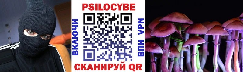 Галлюциногенные грибы Cubensis  Мичуринск 